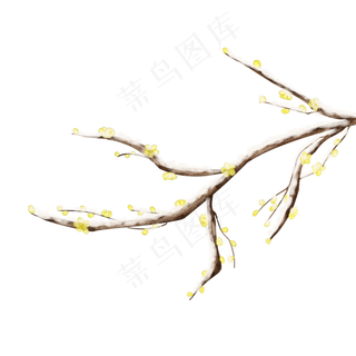 冬天黄色梅花手绘画