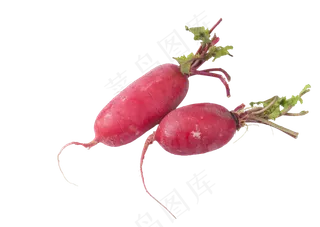 俩个大红萝卜水萝卜