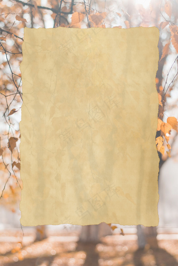 秋天枫叶简约背景