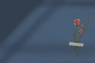 与花的深蓝墙壁阴影背景