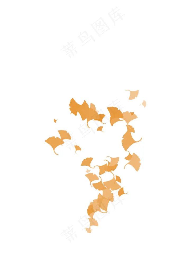 不规则黄色秋天的银杏树叶(1000X1414)