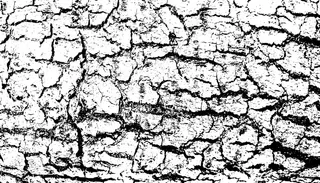 粗糙表面粗糙的粗糙表面，开裂的木材，树皮。肮脏的背景。