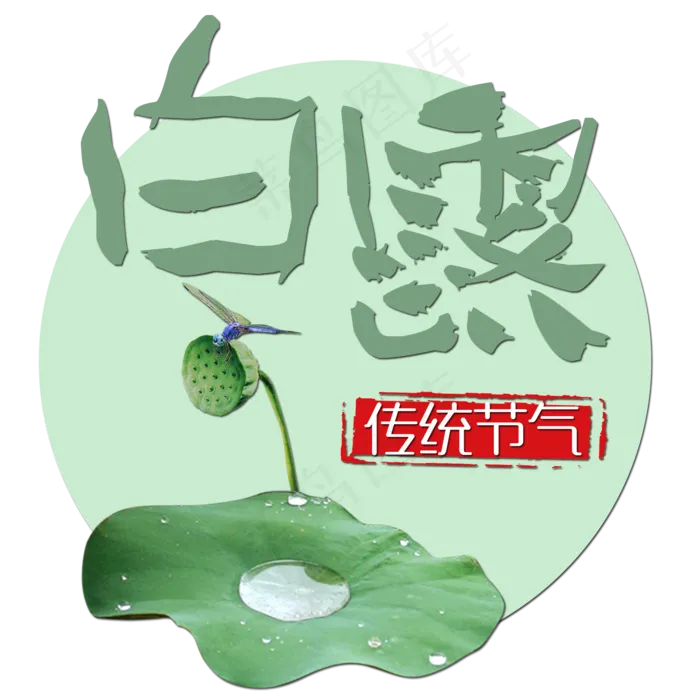 菜鸟图库原创艺术字白露(2000X2000(DPI:150))psd模版下载