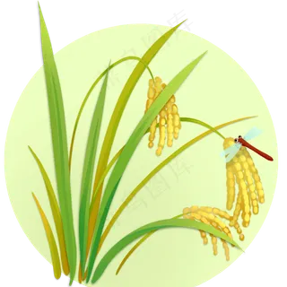 日系小清新唯美系列立秋麦穗