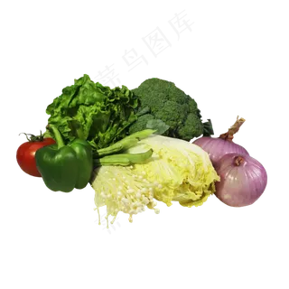 绿色新鲜蔬菜组合