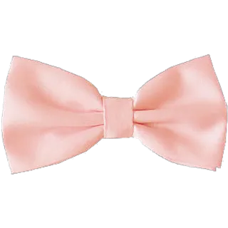 蝴蝶结彩带 蝴蝶结彩带