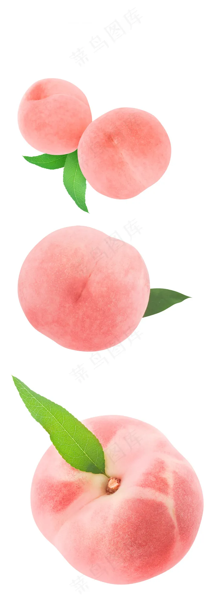 桃子 水蜜桃psd模版下载