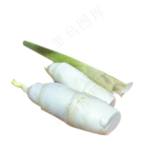 芦笋蔬菜 芦笋蔬菜