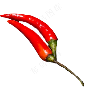 两个红色辣椒