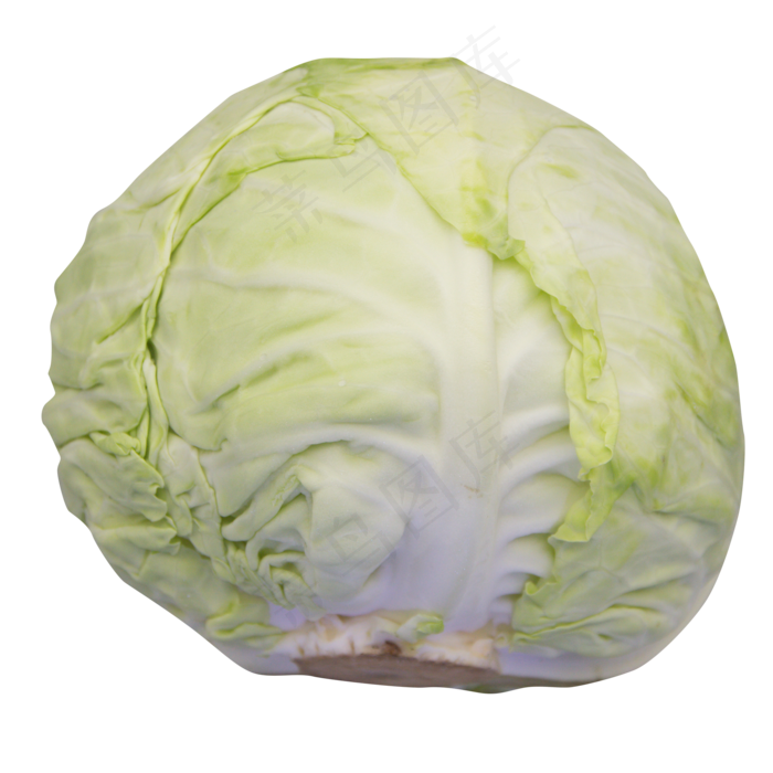 绿色蔬菜白菜(2000*2000px 300 dpi )