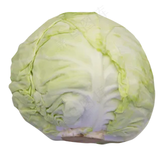 绿色蔬菜白菜