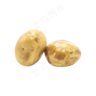 两个蔬菜土豆 两个蔬菜土豆