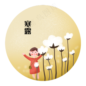 寒露节气二十四节气棉花女孩