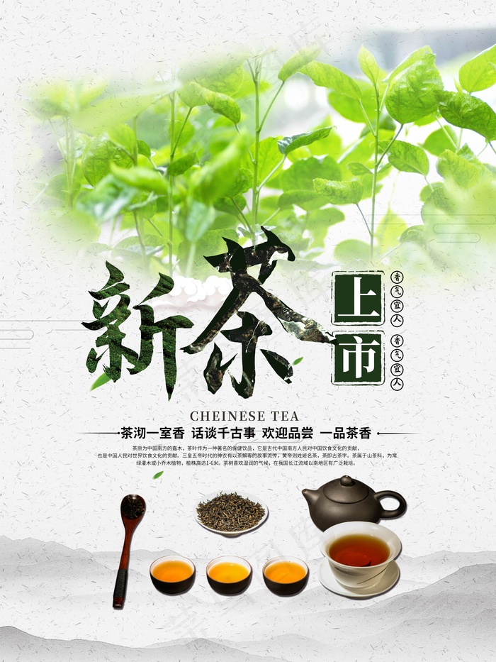 新茶上市宣传海报psd模版下载