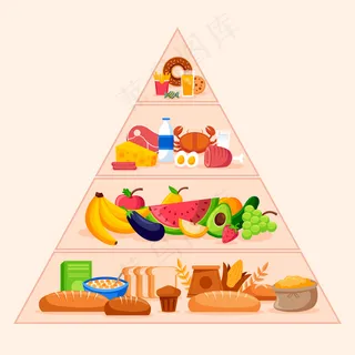 食物金字塔概念