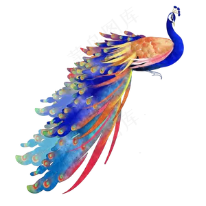 水彩装饰孔雀华丽,免抠元素