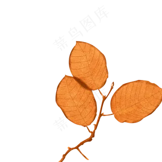 黄色秋天落叶枯叶枯枝败叶手绘简