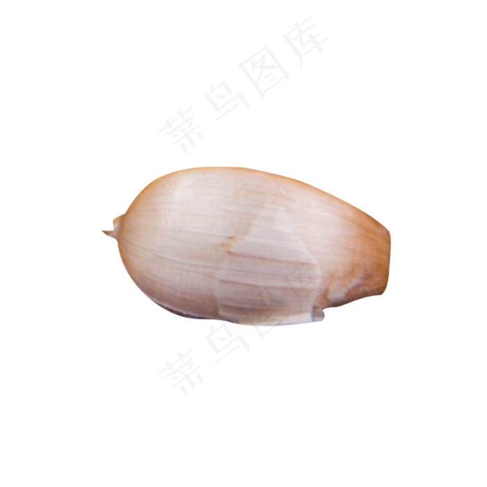 白色圆弧大蒜食物元素(2000X2000(DPI:300))psd模版下载