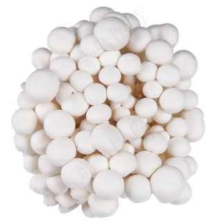 白色金针菇食物