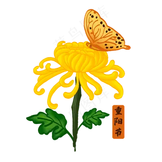 一枝菊花蝴蝶重阳节