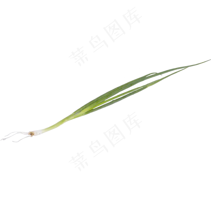 有机香葱(2000X2000(DPI:299))