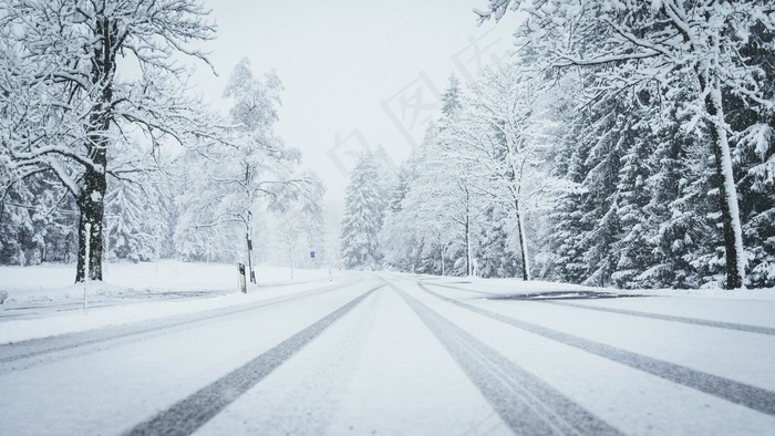 道路被雪完全覆盖，两边都是松树和汽车的痕迹