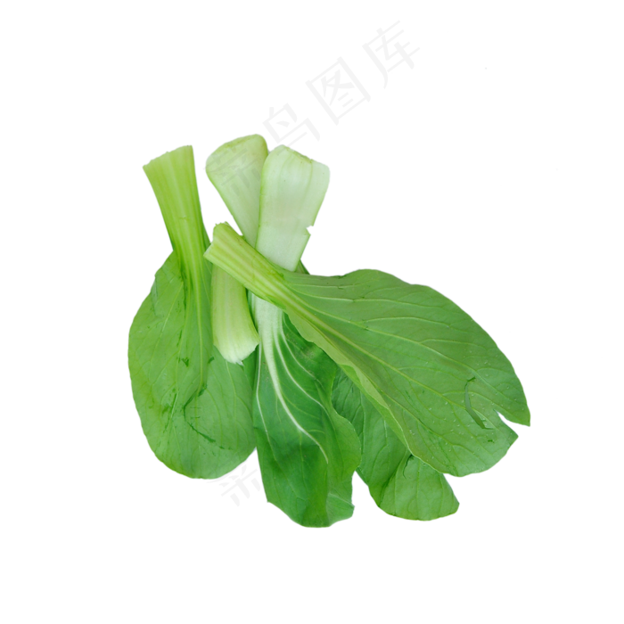 几片小油菜茎叶(2000X2000(DPI:300))
