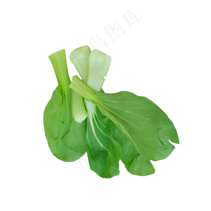 几片小油菜茎叶(2000X2000(DPI:300))