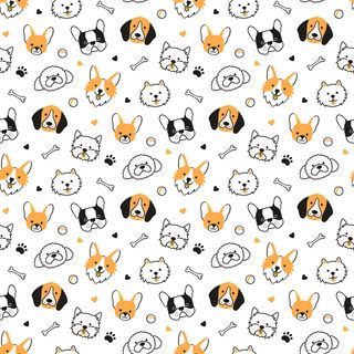 与不同品种的狗头的无缝模式。柯基犬、比格犬、吉娃娃、梗犬、博美犬。狗脸的纹理。手绘矢量图在白色背景上的涂鸦风格