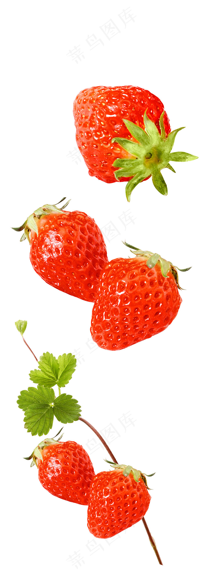 草莓 新鲜草莓