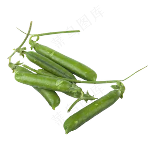 绿色植物果实元素