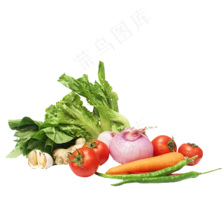 生菜洋葱番茄姜大蒜胡萝卜辣椒