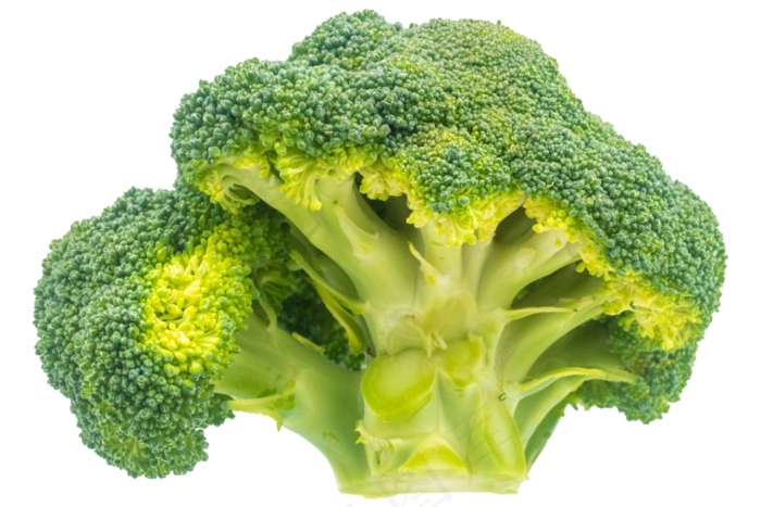 绿色花椰菜实物