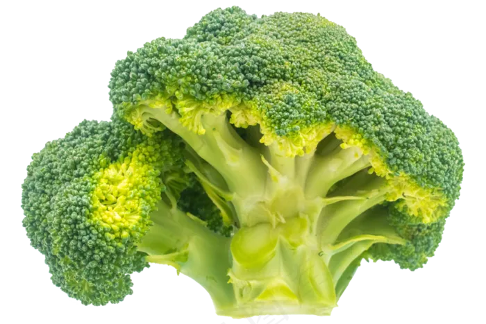 绿色花椰菜实物(3500X3500(DPI:300))