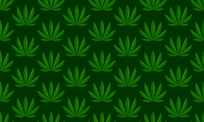 大麻植物绿色背景。矢量图解eps,ai矢量模版下载