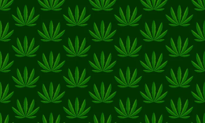 大麻植物绿色背景。矢量图解eps,ai矢量模版下载