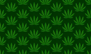 大麻植物绿色背景。矢量图解