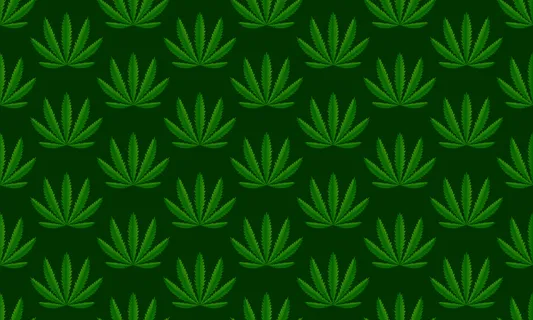 大麻植物绿色背景。矢量图解 大麻植物绿色背景。矢量图解