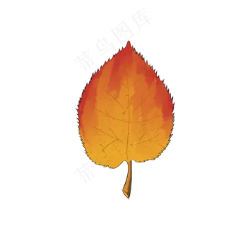 秋叶秋天落叶手绘书签标本可商用