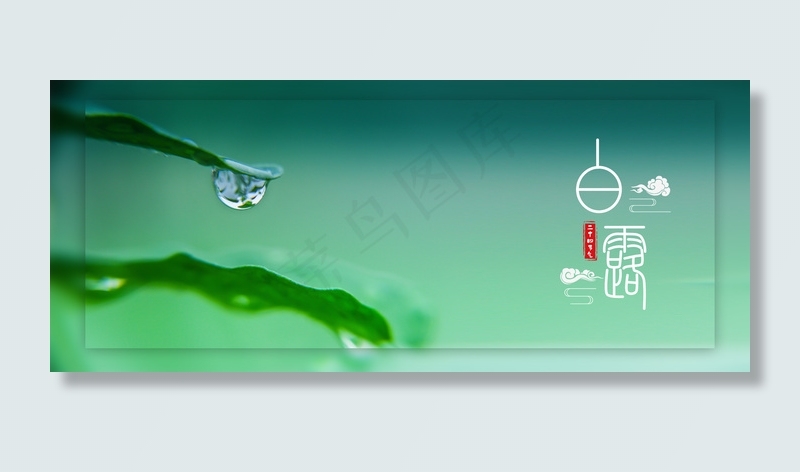 传统节气白露背景