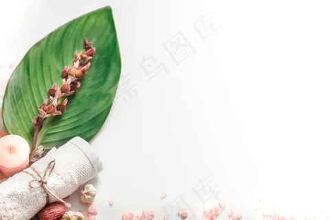 白色背景有机温泉产品