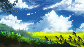 治愈唯美风景场景阳光草地植物天空云彩日系