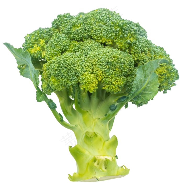 绿色美味花椰菜