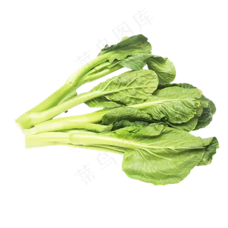 绿色菜芯蔬菜青菜 绿色菜芯蔬菜青菜