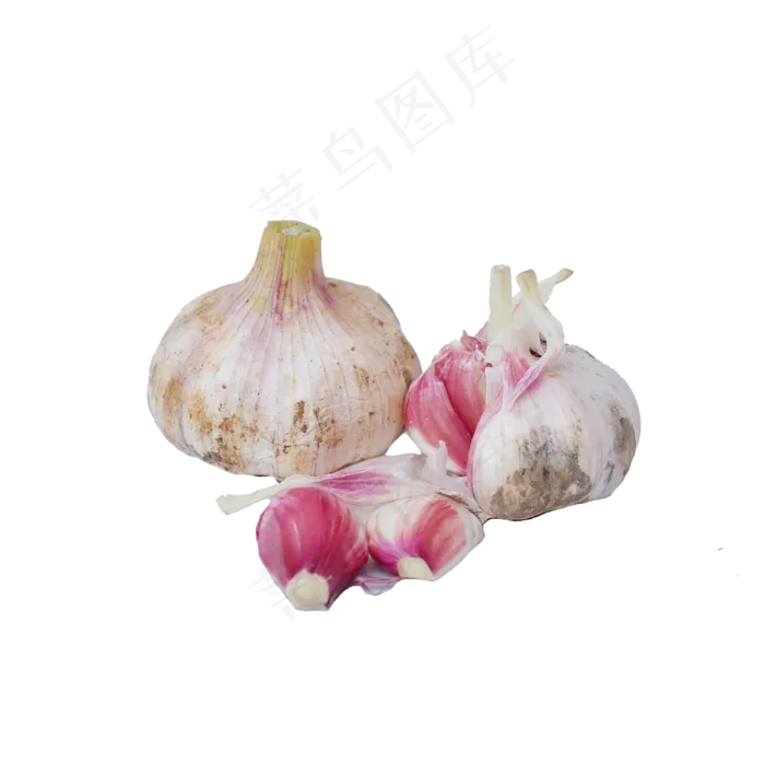 两头大蒜(2000X2000(DPI:300))