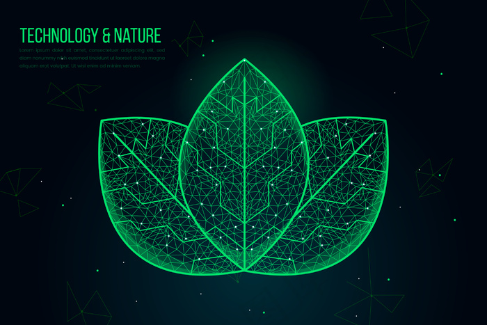 技术生态学概念背景