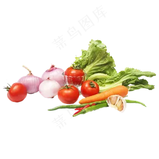 生菜芥菜洋葱胡萝卜辣椒大蒜 生菜芥菜洋葱胡萝卜辣椒大蒜