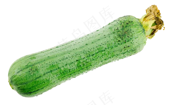 餐饮食材丝瓜(2000X2000)