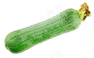 餐饮食材丝瓜