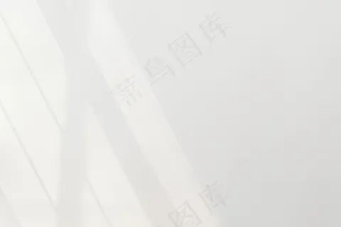 白色背景上的自然光 白色背景上的自然光